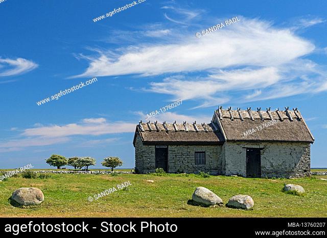 Thatched huts in the nature reserve Ottenby at Öland's southern tip, Sweden, island Öland