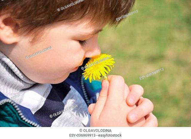 The boy sniffs a dandelion