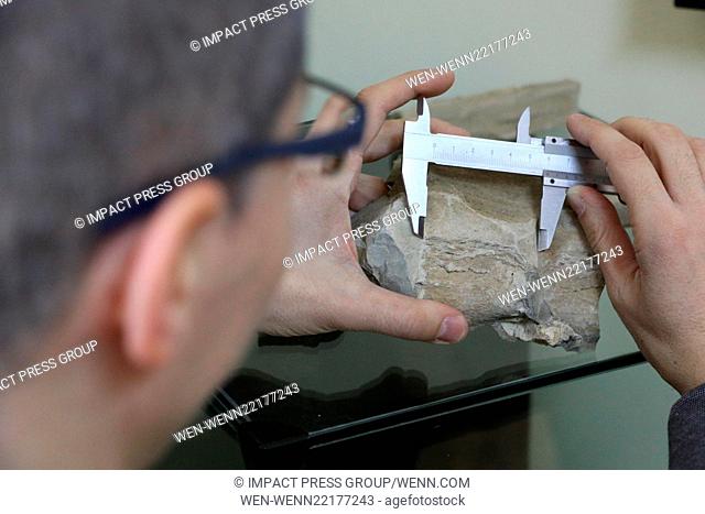 Stoyan Vergiev, an expert from Varna's Natural Science Museum, presents part of a prehistoric whale's vertebra. The mammal lived during the Miocene about 10-15...