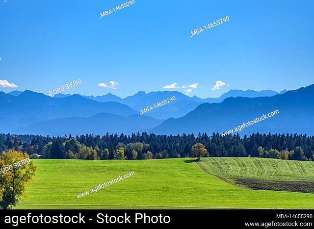 Germany, Bavaria, Upper Bavaria, Tölzer Land, Dietramszell, district Humbach, cultural landscape against Vorkarwendel