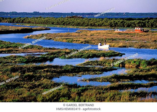 France, Gironde, Arcachon Basin, sailing on the Leyre River delta