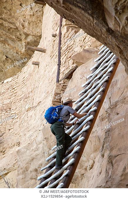 Cortez, Colorado - A park ranger climbs a ladder to enter the Balcony House cliff dwelling at Mesa Verde National Park  The park features cliff dwellings of...