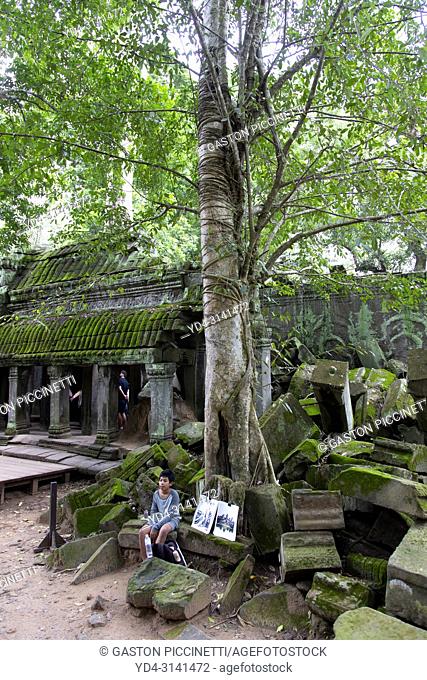Ruins of Ta Prohm temple in Angkor Wat, Siem Reap, Cambodia. Ta Prohm is the modern name of the temple at Angkor, Siem Reap Province, Cambodia