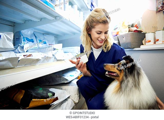 Young woman taking food for a dog from shelf in veterinary surgery