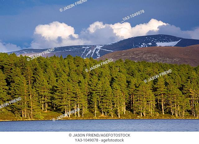Scotland, Scottish Highlands, Cairngorms National Park  Caledonian Forest fringing Loch an Eilein, overlooked by the Cairn Gorm mountain range