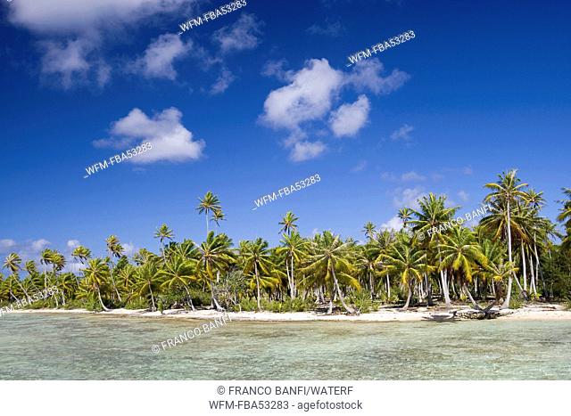 Beach of Manihi Island, Manihi, French Polynesia