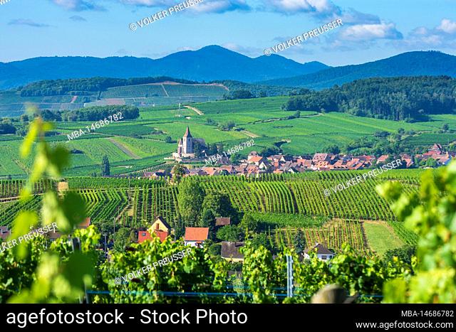 Hunawihr (Hunaweier), village Hunawihr (Hunaweier), church Saint-Jacques, vineyards, Vosges Mountains in Alsace (Elsass), Haut-Rhin (Oberelsass), France