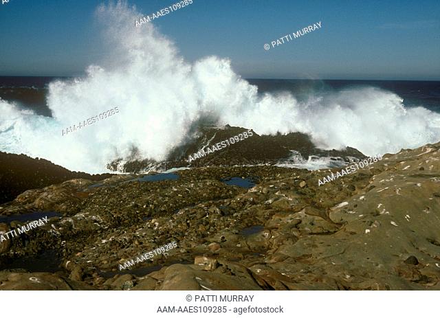 Surf Crashing on Rocks Devil's Cauldron Pt. Lobos SR/CA