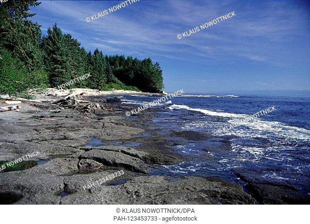 The Pacific Rim National Park on the western coast of Vancouver Island. Vancouver Island, British Columbia, Canada.Date: September 12, 2016 | usage worldwide