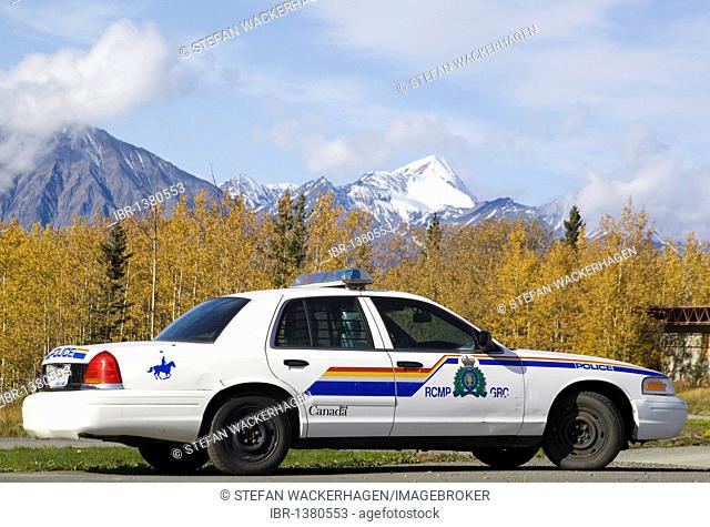 RCMP Royal Canadian Mounted Police car, Indian Summer along Alaska Highway, Trembling Aspen Trees or Quaking Aspen (Populus tremuloides), leaves in fall colours