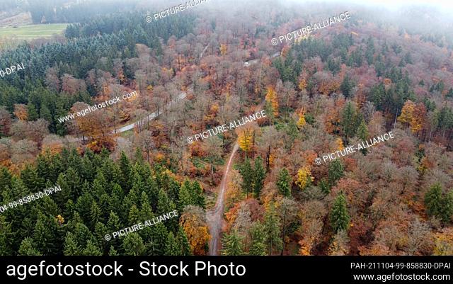 PRODUCTION - 02 November 2021, Hessen, Schmitten: A patch of forest with beech and spruce trees in the Hochtaunus region near Schmitten (aerial photograph taken...