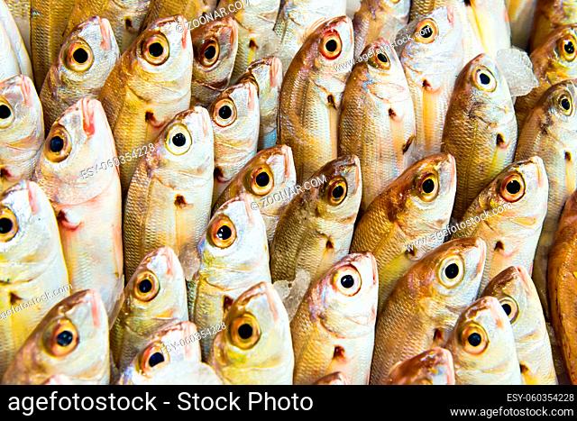 Pile of fresh fish at seafood market. Can be used as food background