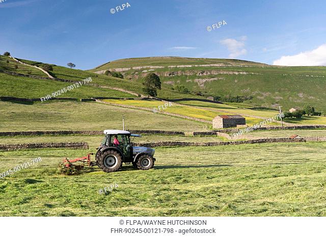 Hurlimann tractor with tedder, turning hay in upland meadow, Muker, Swaledale, Yorkshire Dales N.P., North Yorkshire, England, June