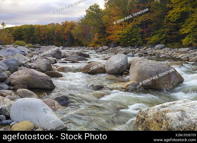 Autumn foliage along the East Branch of the Pemigewasset River in Lincoln, New Hampshire on a cloudy autumn day. This location is just above the site of the old...