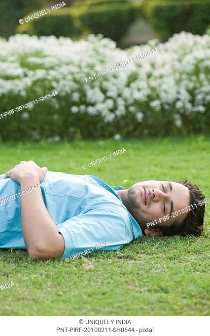 Man napping in a garden