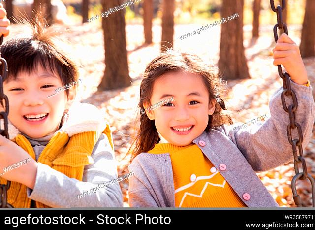 Happy children's outdoor play on a swing