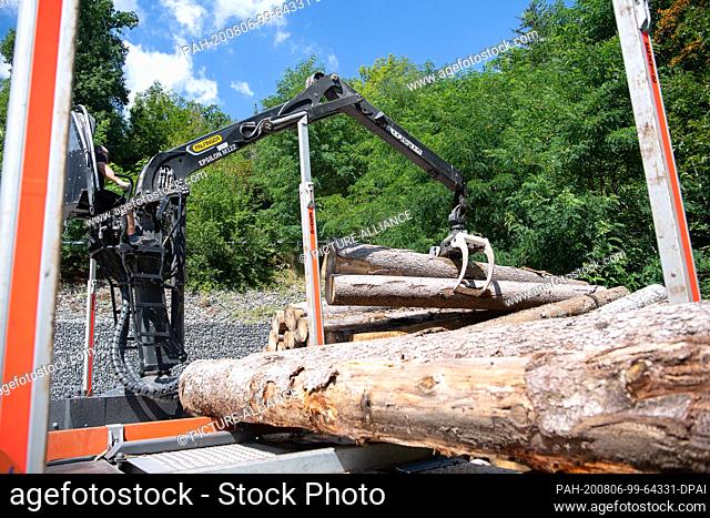 05 August 2020, Baden-Wuerttemberg, Oberrot: Logs damaged by bark beetles are loaded onto a truck. Photo: Sebastian Gollnow/dpa