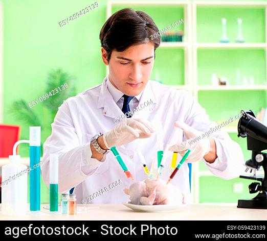 The lab assistant testing gmo chicken