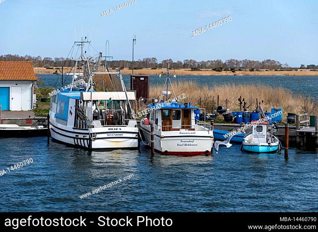 Fishing boats moored in Neuendorf harbor, Hiddensee island, Mecklenburg-Western Pomerania, Germany