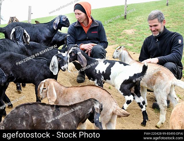 29 March 2022, Saxony, Lichteneichen/ Mügeln: The organic goat farm operator of Caprinenhof and former car mechanic Sven Kloy, and his partner
