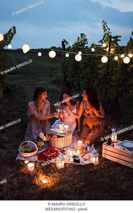 Friends having a picnic in a vineyard on summer night