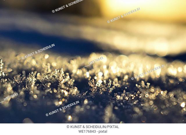 Frost crystals are shimmering in the golden light of the low winter sun on a cold day in northern Sweden