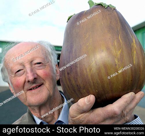 Peter Glazebrook with his new Guiness World Record winning heaviest Aubergine 3.12kg at the Malvern Autumn Show Canna UK National Giant Vegetables Championships...