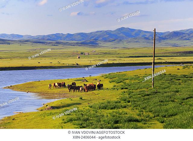 Orkhon river, Bulgan province, Mongolia