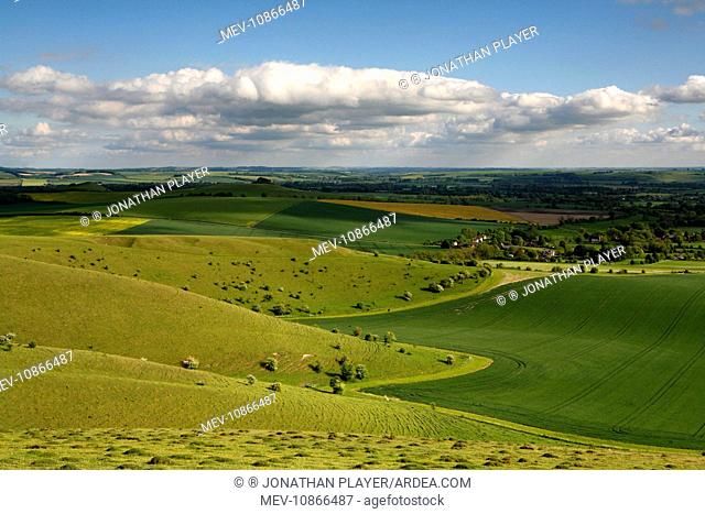 The Vale of Pewsey seen from Walkers Hill, which is part of the Pewsey Downs Nature Reserve near Alton Barnes, Wiltshire, England