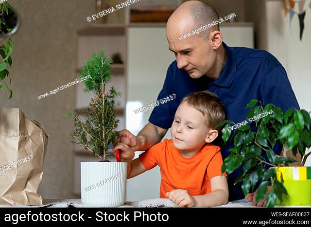 Man with son planting at home