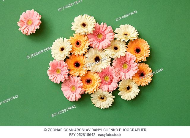 Composition from fresh different gerberas on paper green background. Mother's Day, March 8. Spring concept. Flat lay