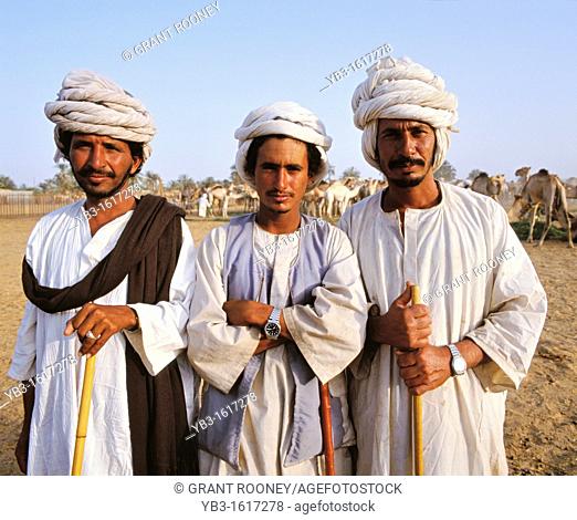 Camel Traders, Daraw, Egypt