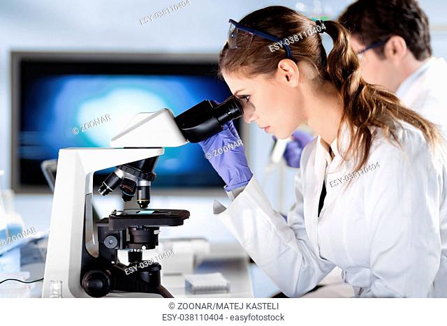 Life scientist researching in the laboratory