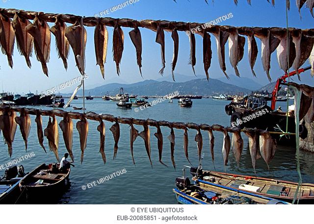 Cheung Chau Island, Fish drying in front of harbour