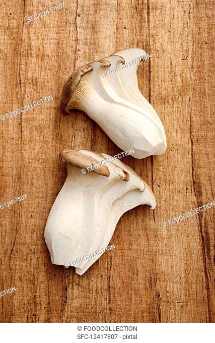 Fresh king trumpet mushrooms on a wooden surface