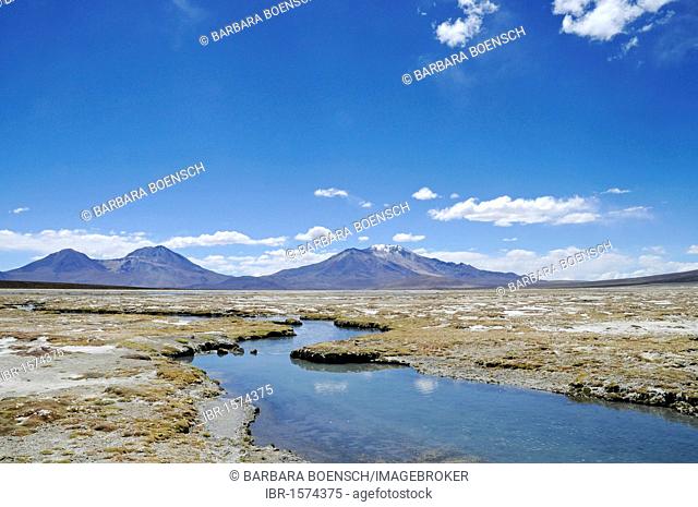 Steppe, open plain, Polloquere springs, thermal baths, Salar de Surire, Salt Lake, Reserva Nacional de las Vicunas, Lauca National Park, Altiplano, Norte Grande