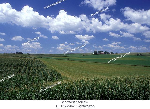 Iowa, Dyersville, A field of corn and other crops on a Midwest farm in Dyersville