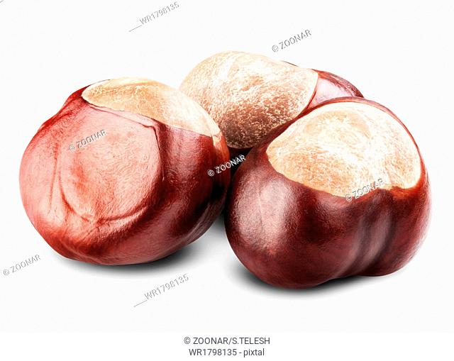 isolated Chestnut