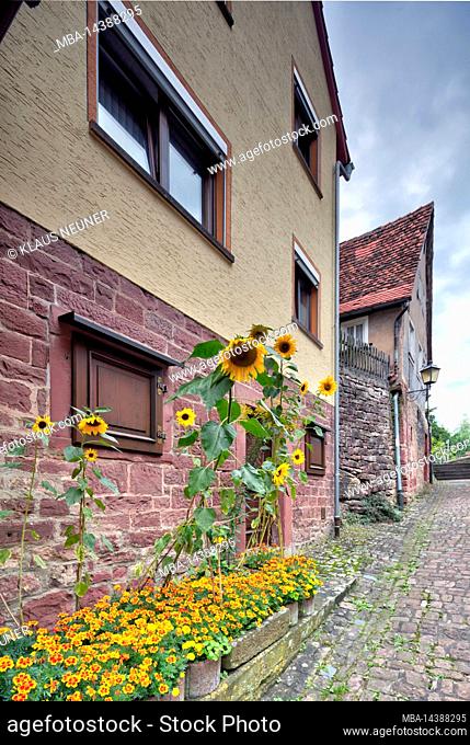 house front, alley, decoration, sunflowers, village view, autumn, Rothenfels, Main-Spessart, Franconia, Bavaria, Germany, Europe