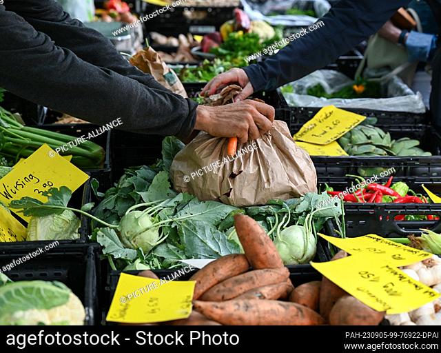 PRODUCTION - 25 August 2023, Hesse, Frankfurt/Main: A customer is served at the stand of the Bioland nursery Blattlaus at the weekly market at Südbahnhof