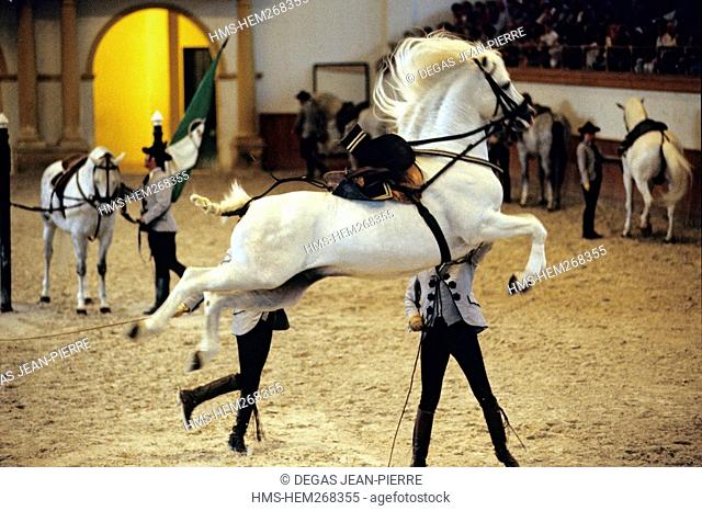 Spain, Andalusia, Cadiz Province, Jerez de la Frontera, Royal Andalusian School of Equestrian Art, horsemen repeating the evening show