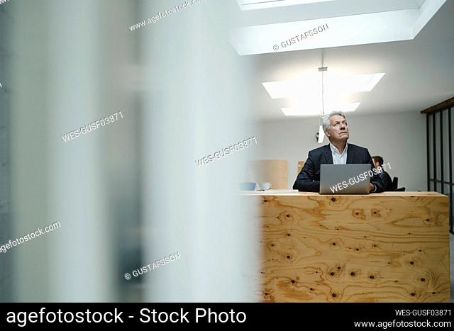 Senior businessman using laptop on counter, looking up smiling