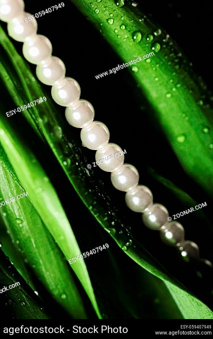 Pearls in exotic green leaves, luxury jewellery closeup