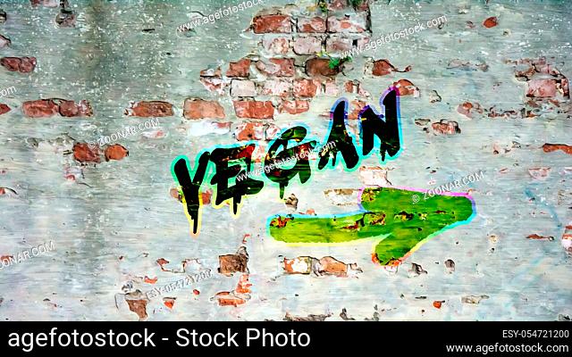 Wall Graffiti the Direction Way to Vegan