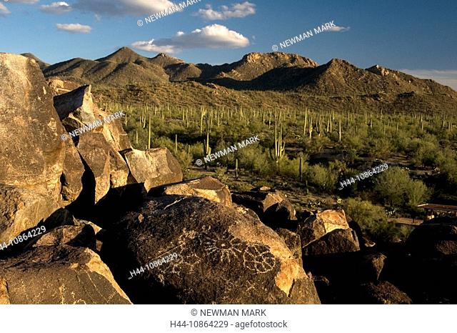 ancient petroglyphs, Saguaro National park, West unit, Arizona, USA, North America, landscape, scenery, cactus, cacti, nature, rocks, rock, desert, carvings