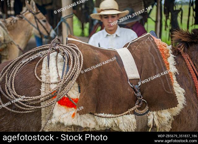 A Pantaneiro (local cowboy) is saddling his mule in the southern Pantanal in the Mato Grosso province of Brazil