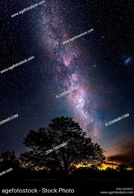 Amazing night scene of the milky way falling towards the silhouette of a leafy tree showing millions of shiny stars like sand in the sky