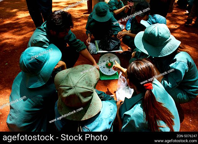 BINH PHUOC, VIET NAM- MAY 9: Worker working in tearmwork at rubber plantation, they separate material for their work on next day in Binh Phuoc