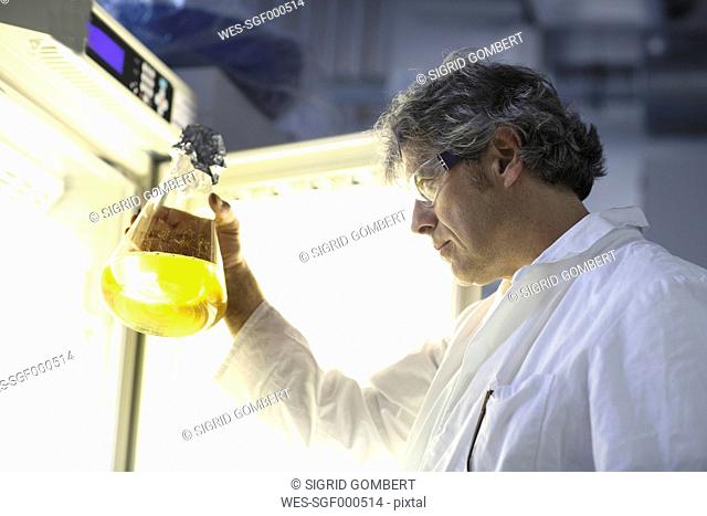 Germany, Freiburg, Scientist in laboratory evaluating samples