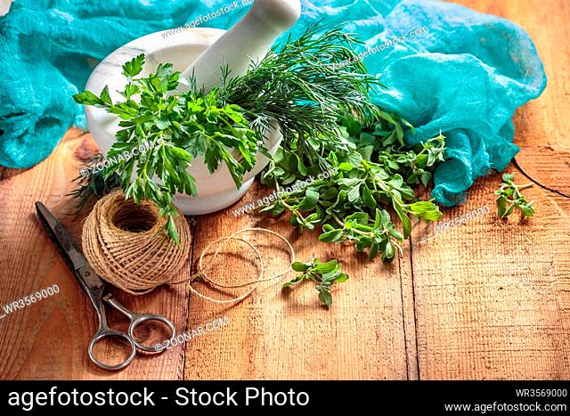 Spicy grass marjoram, dill, parsley, scissors and marble mortar on a wooden table